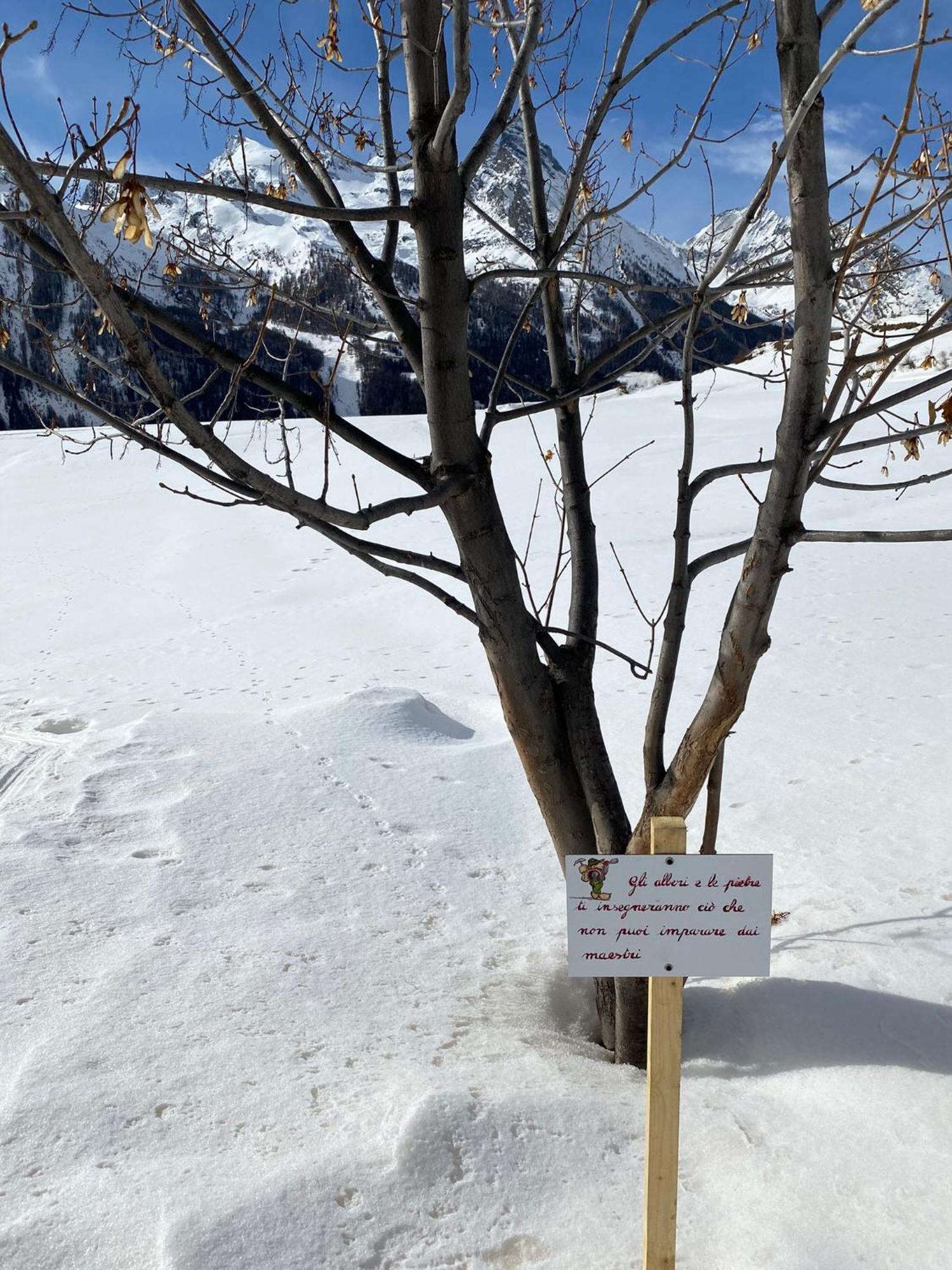 Hotel Belvedere Cogne Exterior foto